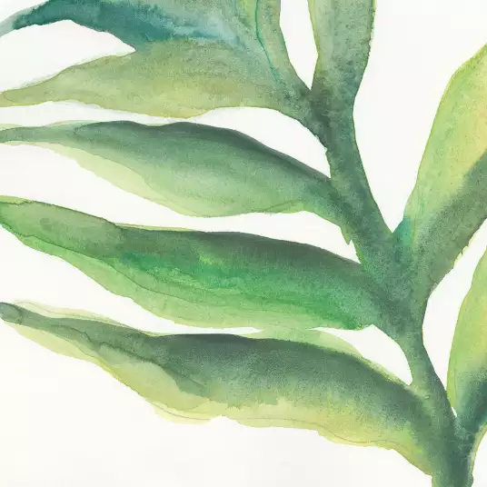 Palmier tropical I - papier peint plante