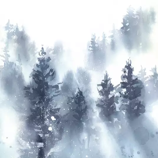 Forêt brumeuse - papier peint montagne chambre