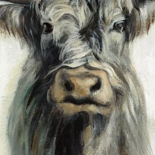 Vache ecossaisse - papier peint animal