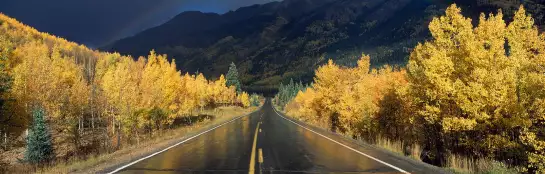 Après la pluie - papier peint nature et paysage