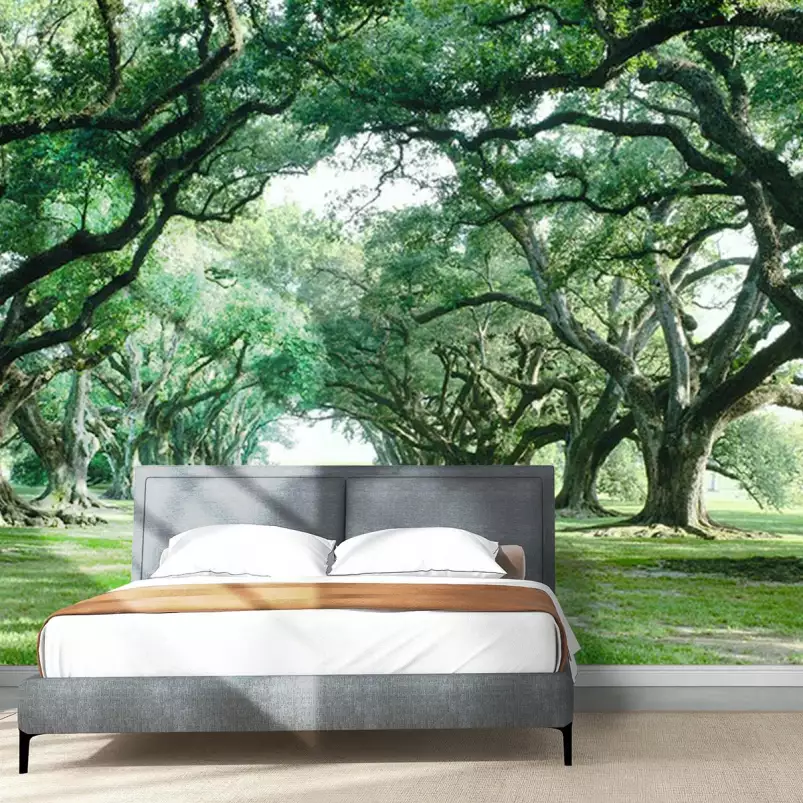 Allée de chênes en Louisiane - papier peint panoramique paysage