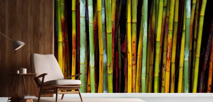 Jardins botaniques de Kanapaha - papier peint bambous