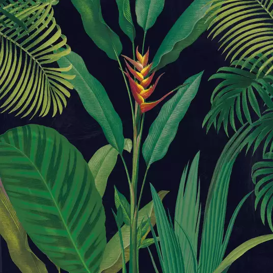Tropical drama - papier peint jungle