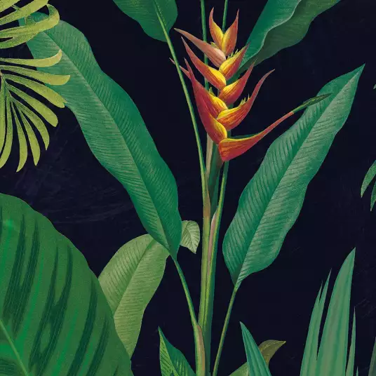 Tropical drama - papier peint jungle