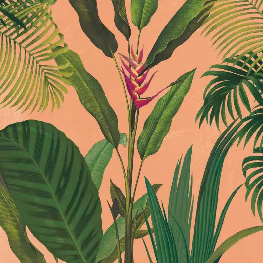 Bohème tropical - papier peint jungle