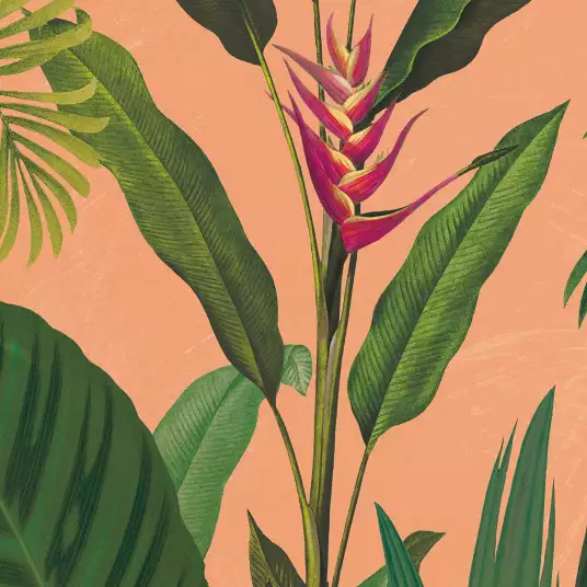 Bohème tropical - papier peint jungle