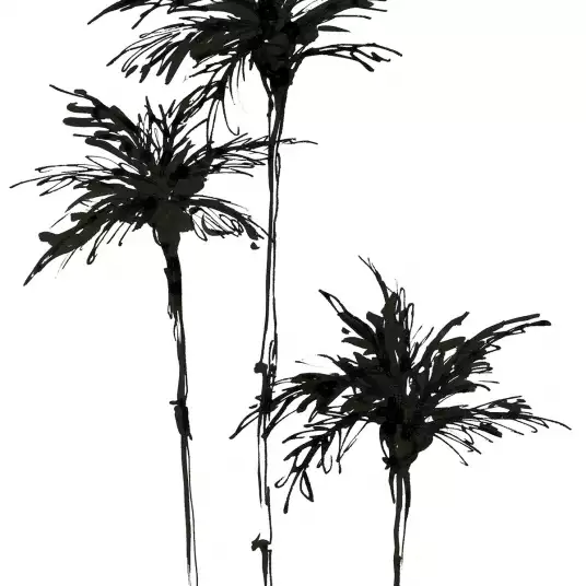 Paumes sombres - papier peint panoramique jungle noir et blanc