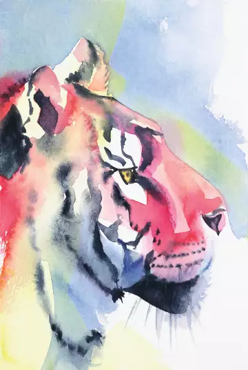 Portrait de tigre - papier peint animaux savane