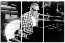 Ray Charles au piano en 1982 - affiche chanteur