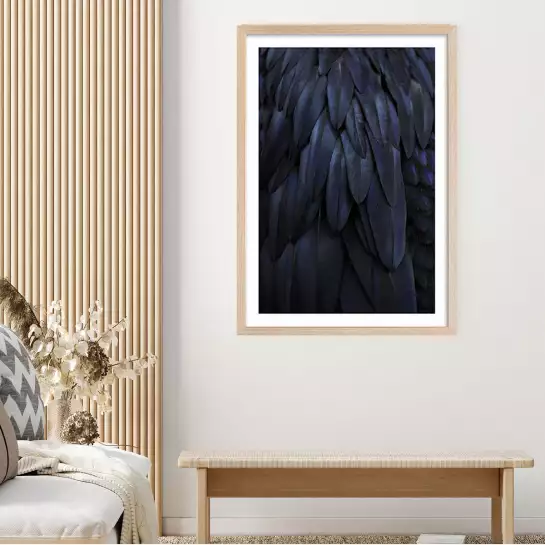 Robe noire - affiche oiseaux tropicaux