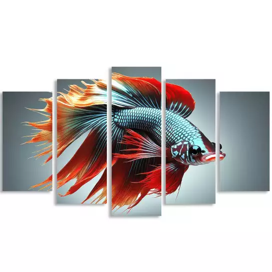 Poisson de collection - photo artistique animaux