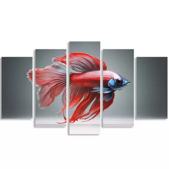 Combattant rouge - tableau poisson