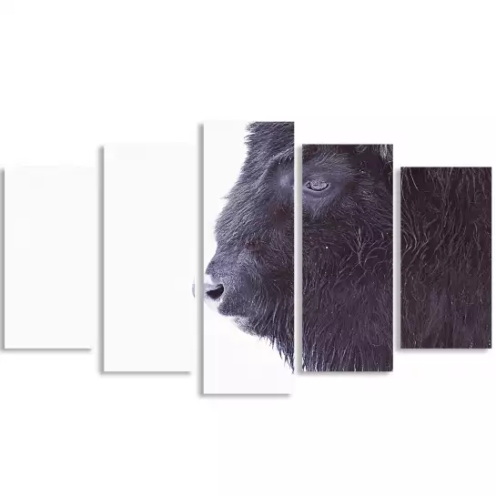 Bison en hiver - affiche animaux