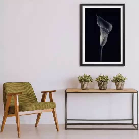 Calla lily - poster d'art