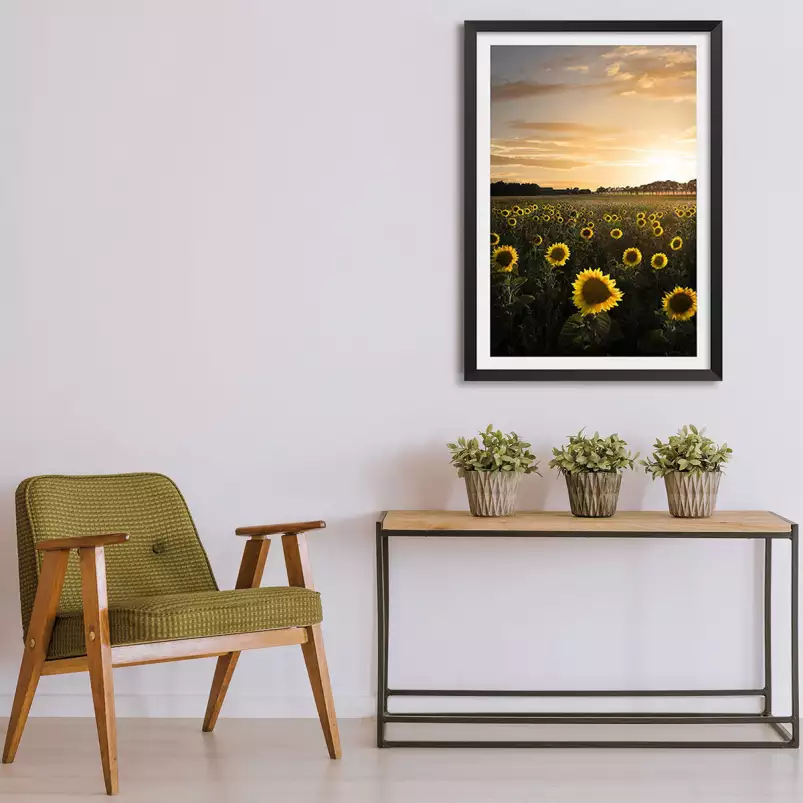 Tournesol au soleil - affiche fleurs