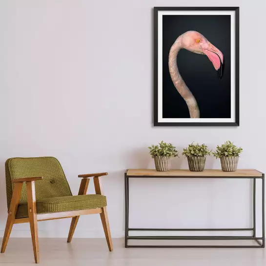 Flamboyance - affiche oiseaux