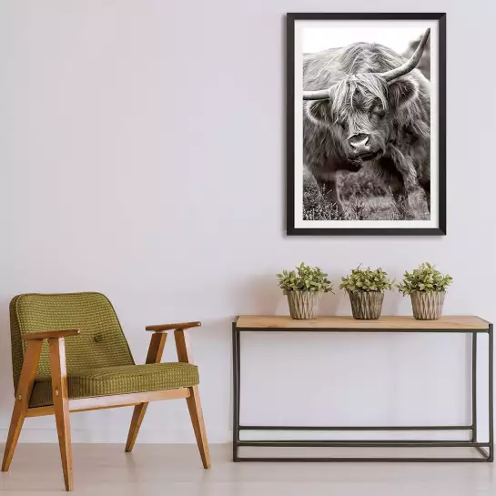 Bull - affiche animaux