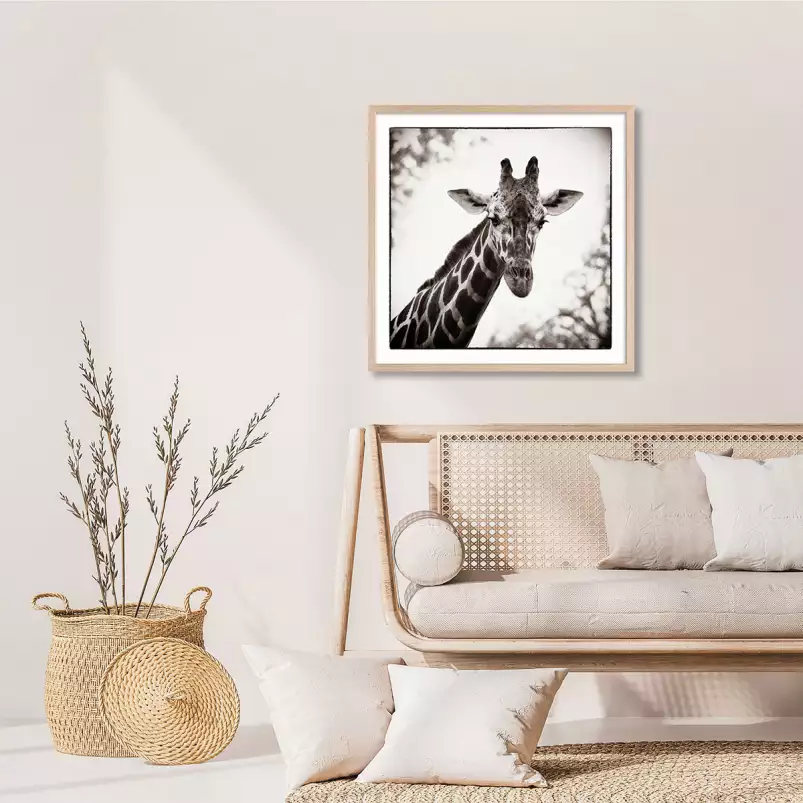 Girafe en sépia - tableau d animaux sauvages