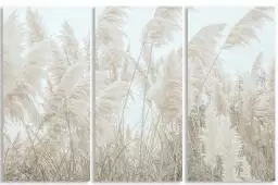 Pampas blanches - affiche plantes