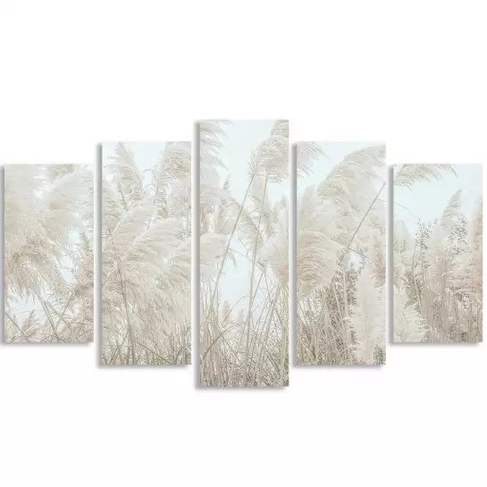 Pampas blanches - affiche plantes