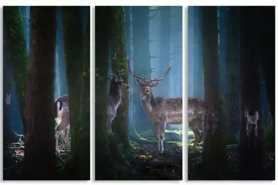 Cerfs - photo animaux de la foret