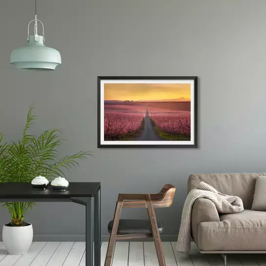 Floraison - paysage champs