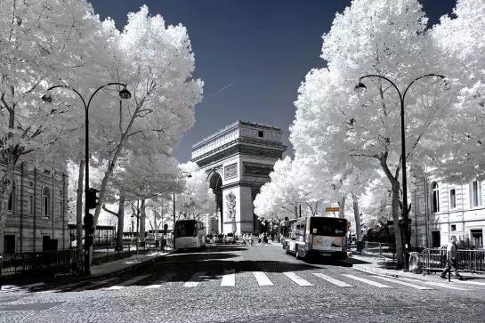 L'Arc de triomphe - affiches paris