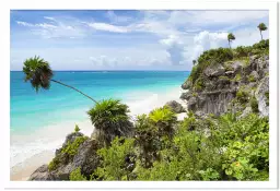 Palmier de Tulum - affiche plage