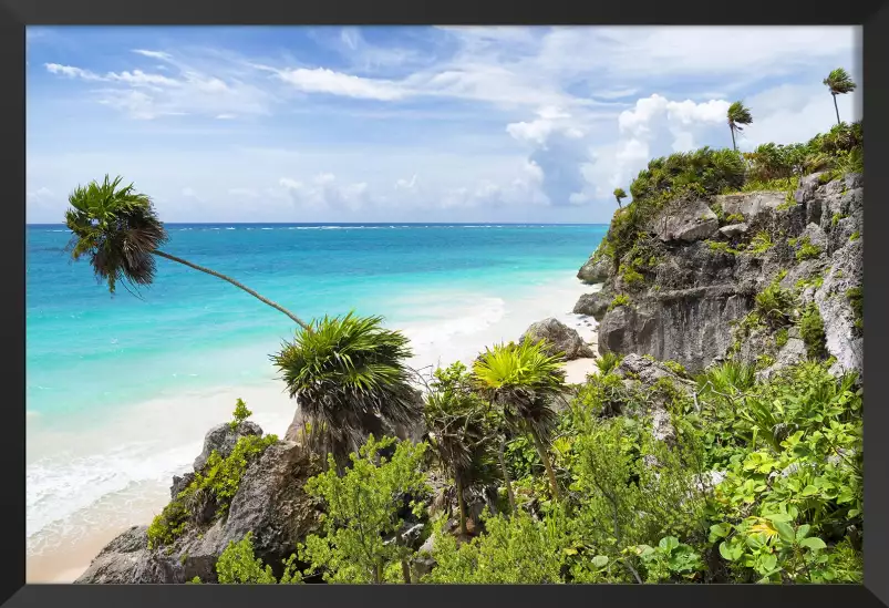 Palmier de Tulum - affiche plage