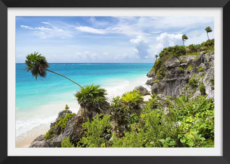 Palmier de Tulum - affiche plage