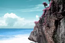 Rocher sur les Caraibes - affiche plage