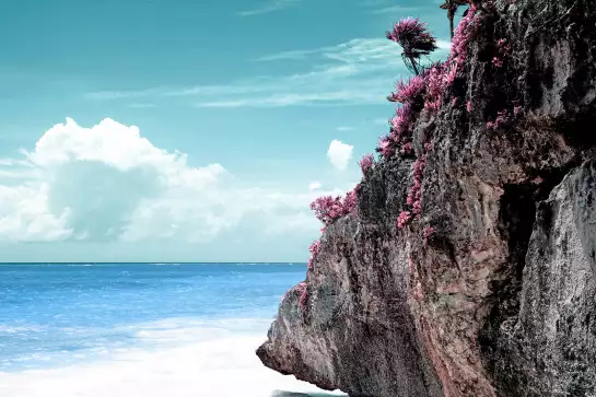 Rocher sur les Caraibes - affiche plage