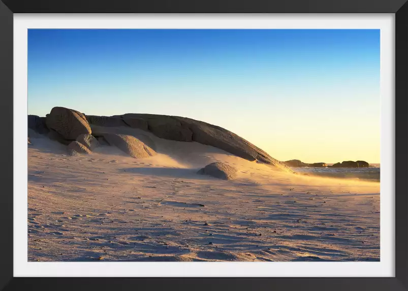 Dune de sable - paysage nature