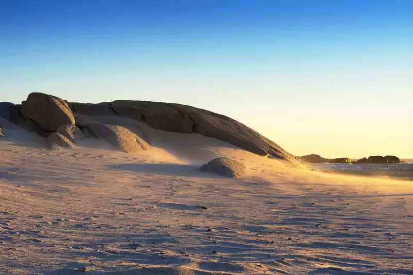 Dune de sable - paysage nature