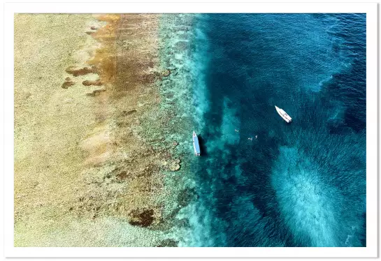 Ocean iris - photo mer et plage