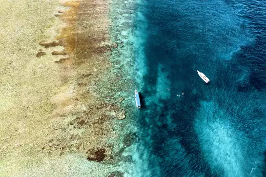 Ocean iris - photo mer et plage