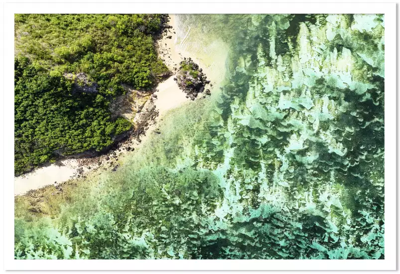 Plage verte - photo mer et plage