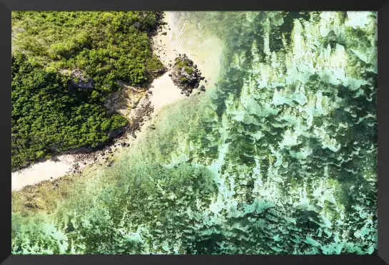 Plage verte - photo mer et plage