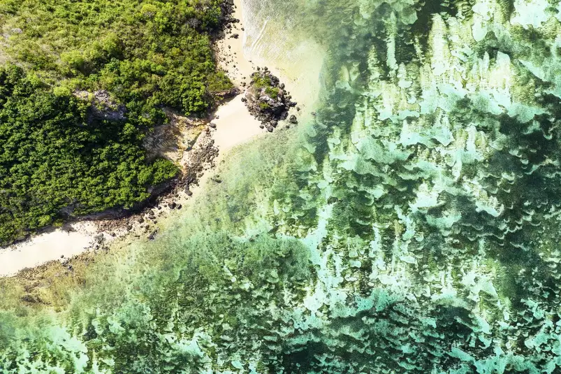 Plage verte - photo mer et plage