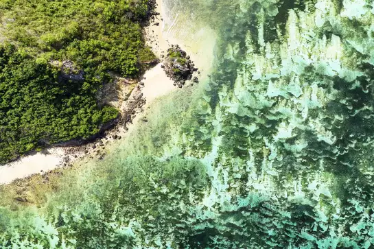 Plage verte - photo mer et plage