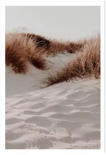 Dune - affiche plage