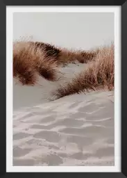 Dune - affiche plage