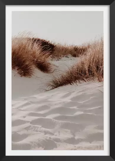 Dune - affiche plage