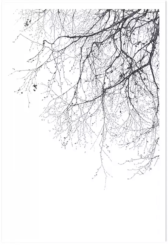 Branches - tableau plante