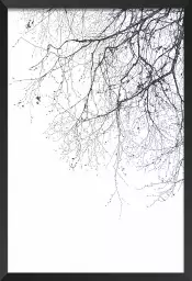 Branches - tableau plante