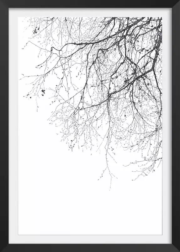 Branches - tableau plante