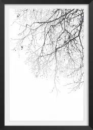 Branches - tableau plante