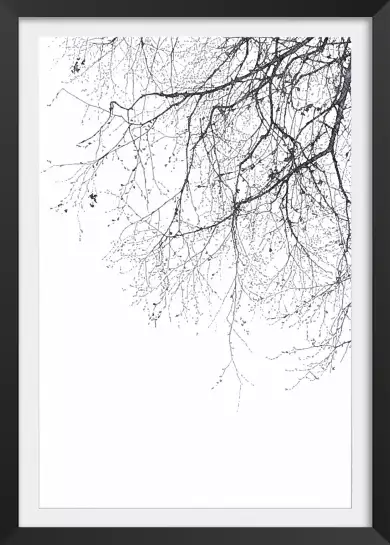 Branches - tableau plante