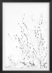 Bourgeons - affiche de fleurs