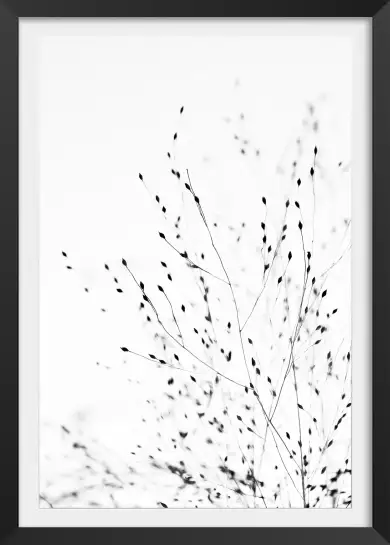 Bourgeons - affiche de fleurs